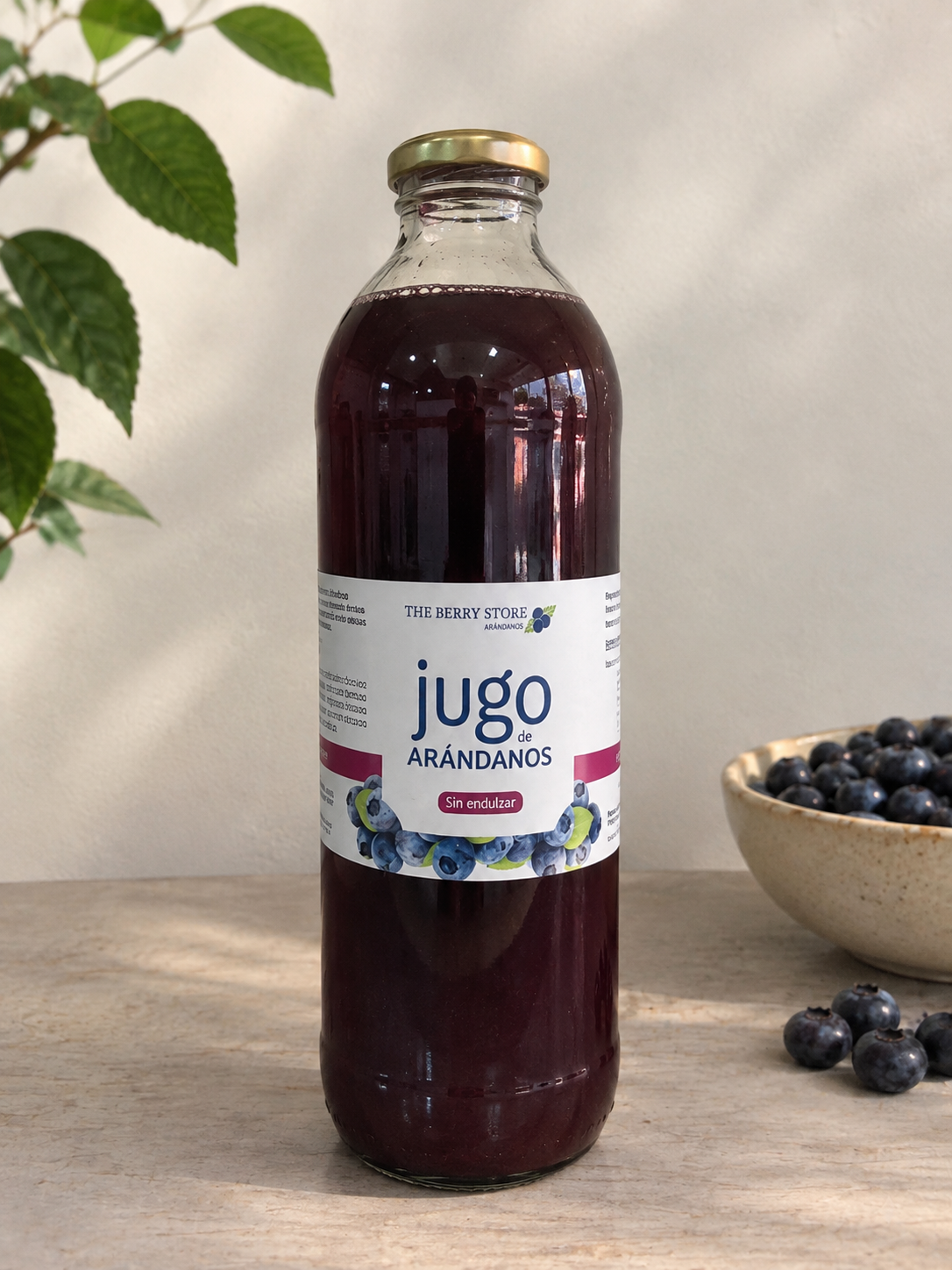 Jugo de arándanos sin endulzar